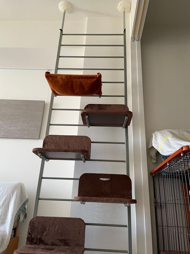 【ボンビアルコン】 キャットウォーク キャットタワー 突っ張り式