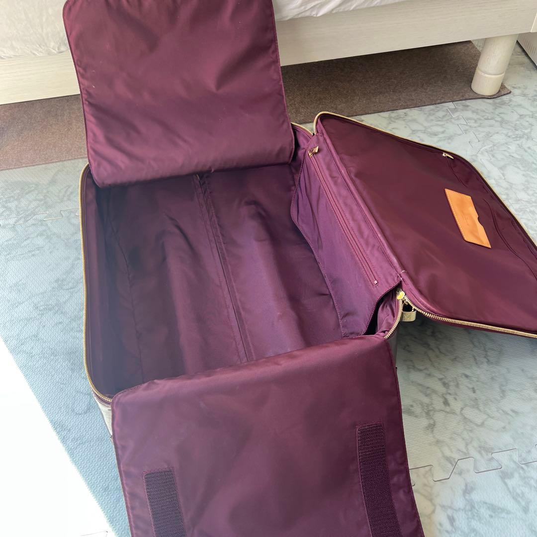 希少✨ルイヴィトン ペガス45 ヴェルニ モノグラム レザー キャリーケース