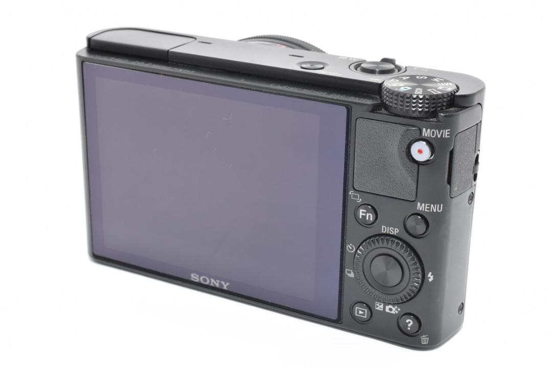 ソニー　SONY DSC-RX100