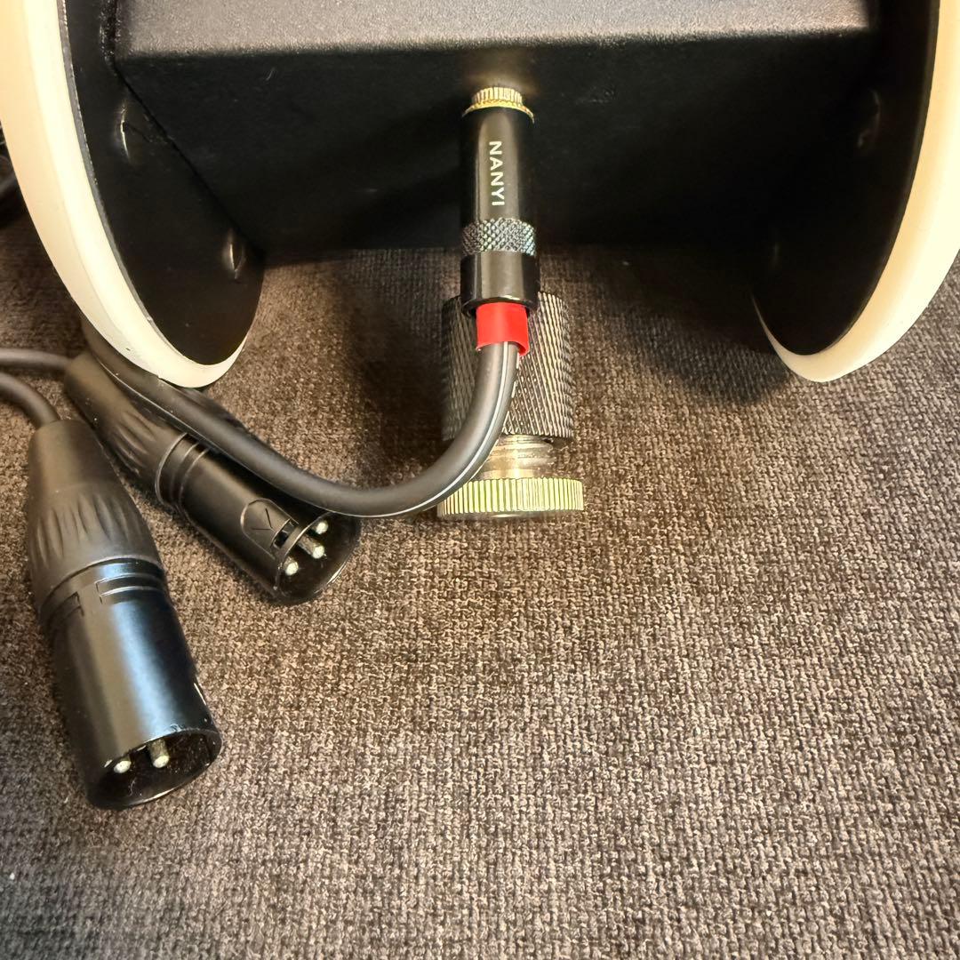 3DIO Free Space FS バイノーラルマイク ASMR おまけ付き