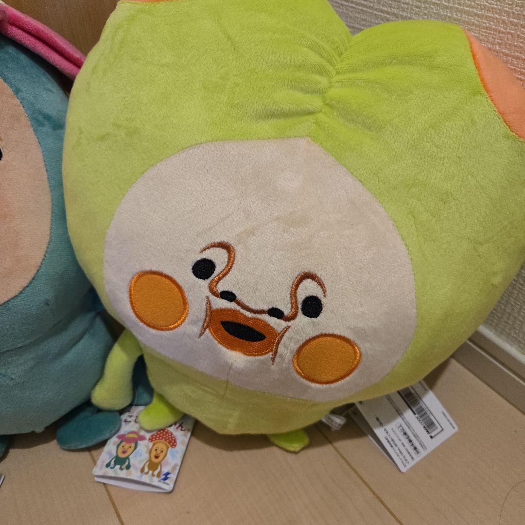 こびとづかん カクレモモジリ スモモノウチ ベニキノコビト リトルハナガシラ