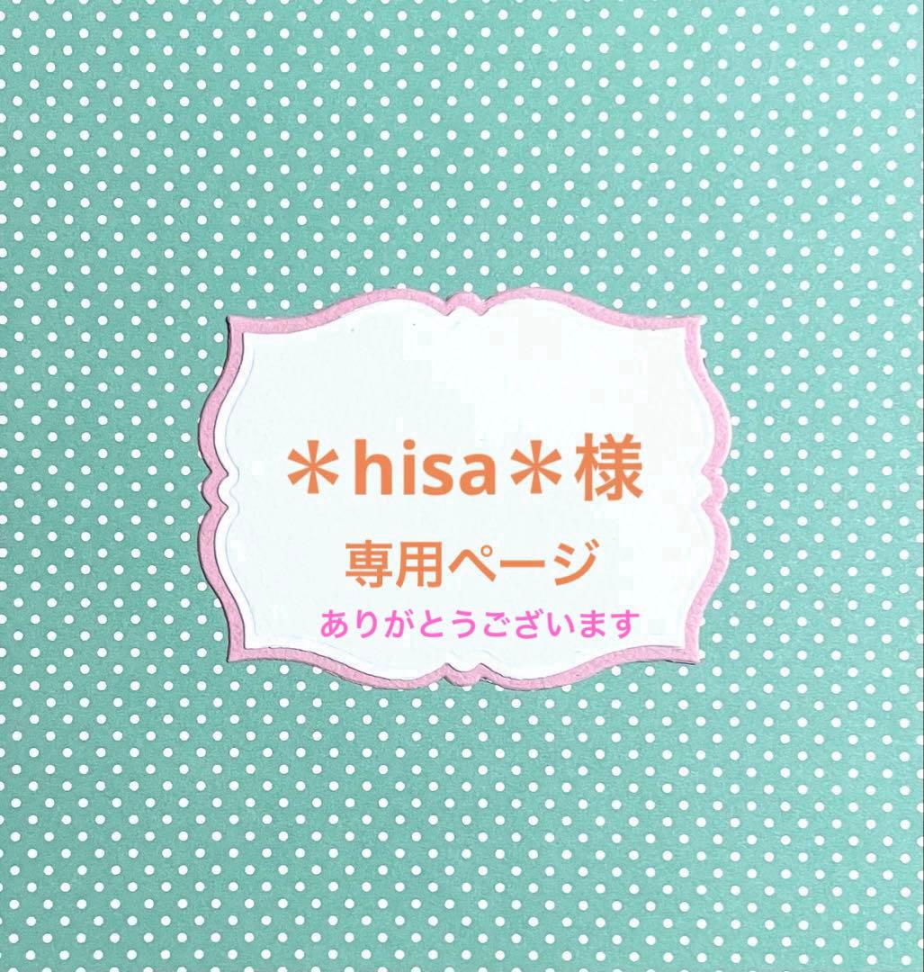 ＊hisa＊さま専用　アルバムクラフト