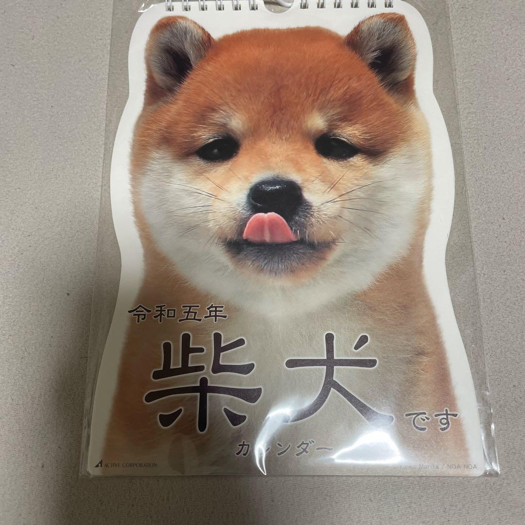 柴犬 フォトカレンダー 壁掛け 2023 令和五年 柴犬カレンダー 可愛い 動物