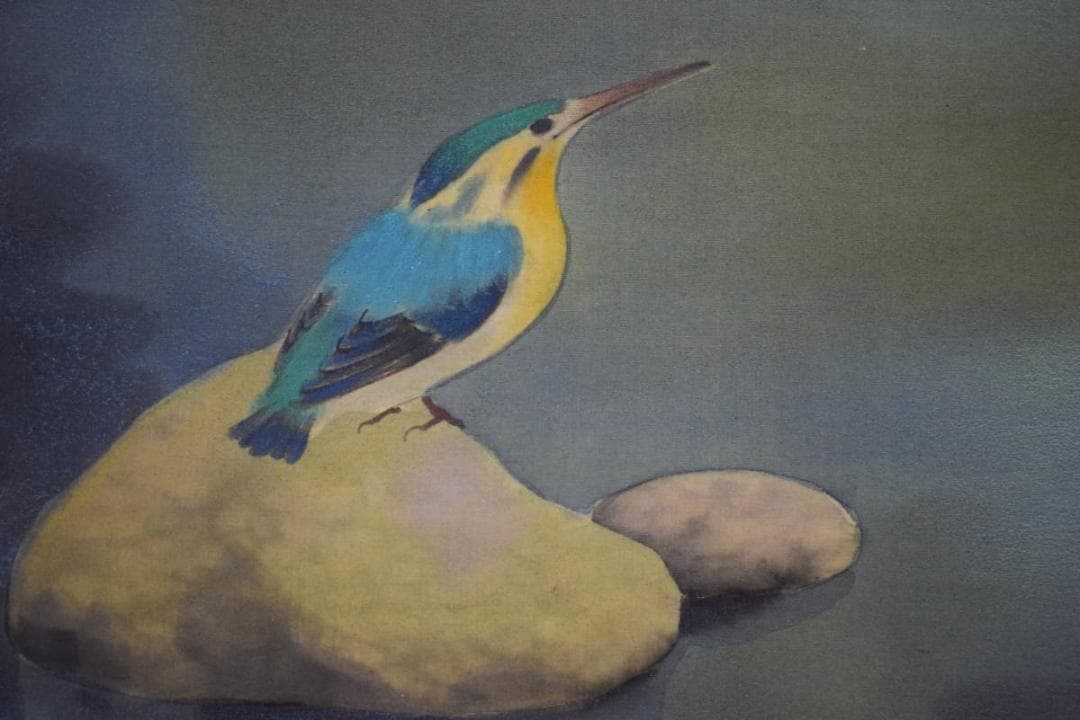 真作/間宮正/カワセミ図/花鳥/布袋屋掛軸HK-73