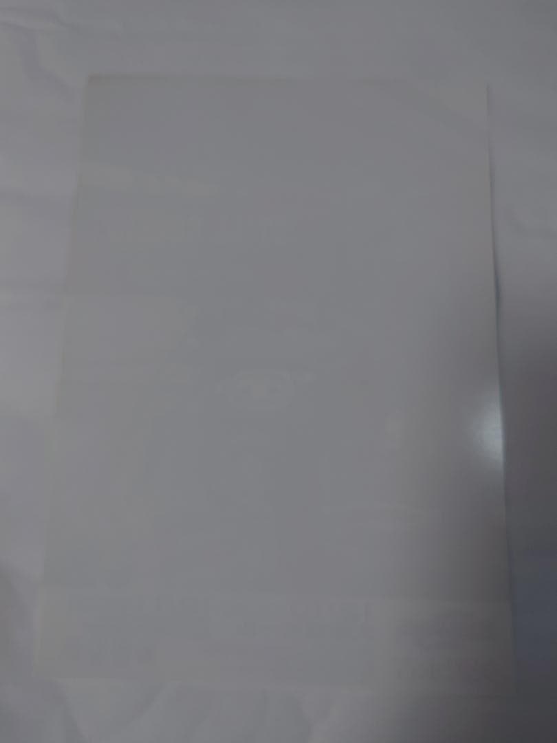 ★矢沢永吉・2011年・大阪城ホ－ル・B5サイズチラシ