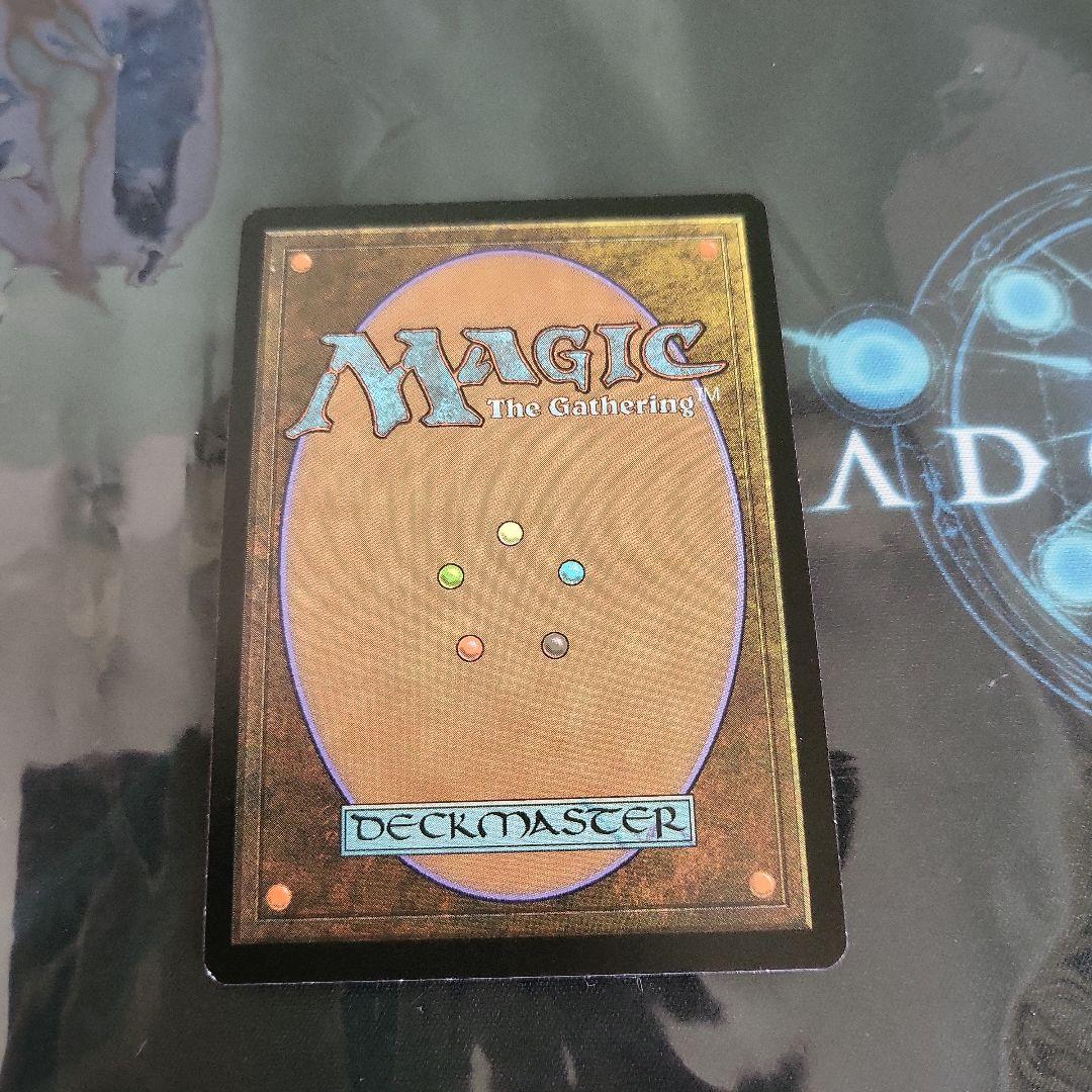 《神聖なる泉/Hallowed Fountain》[EXP] 土地R