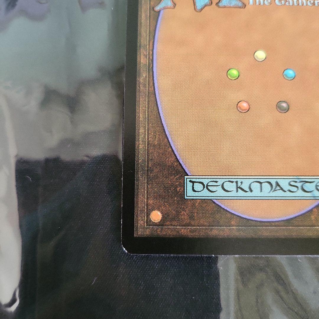 《神聖なる泉/Hallowed Fountain》[EXP] 土地R