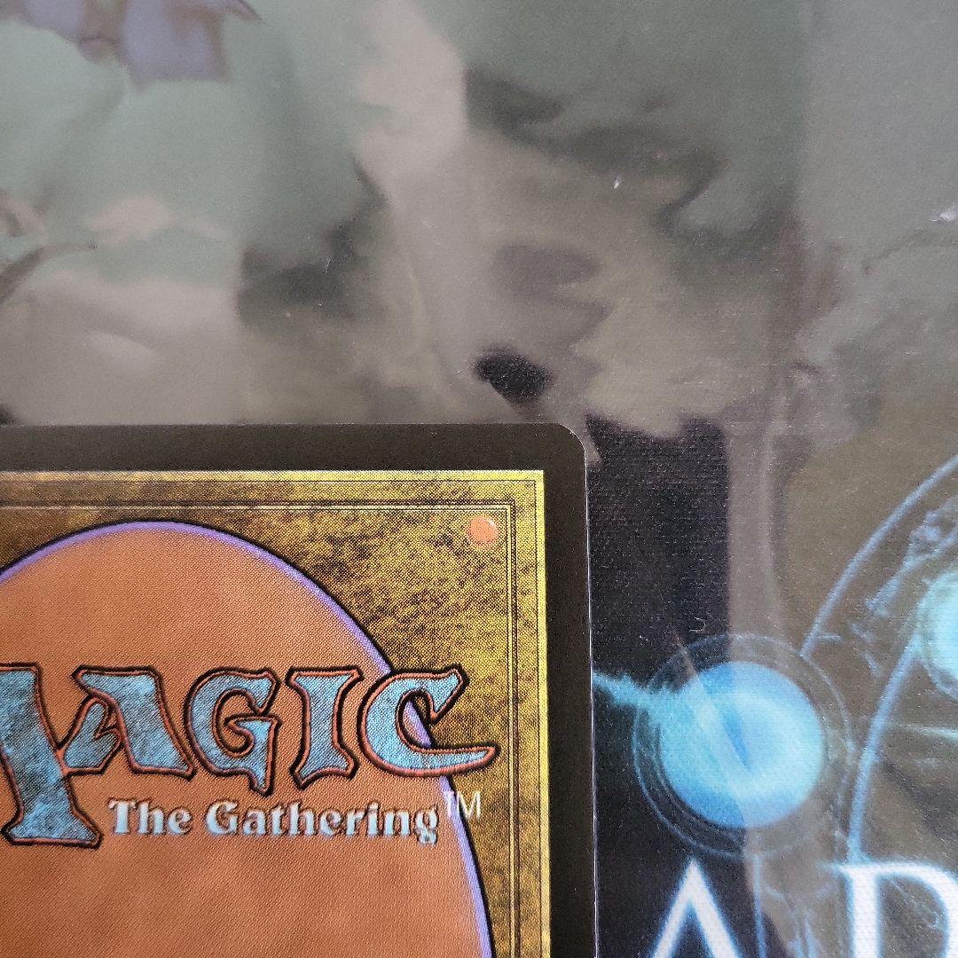 《神聖なる泉/Hallowed Fountain》[EXP] 土地R