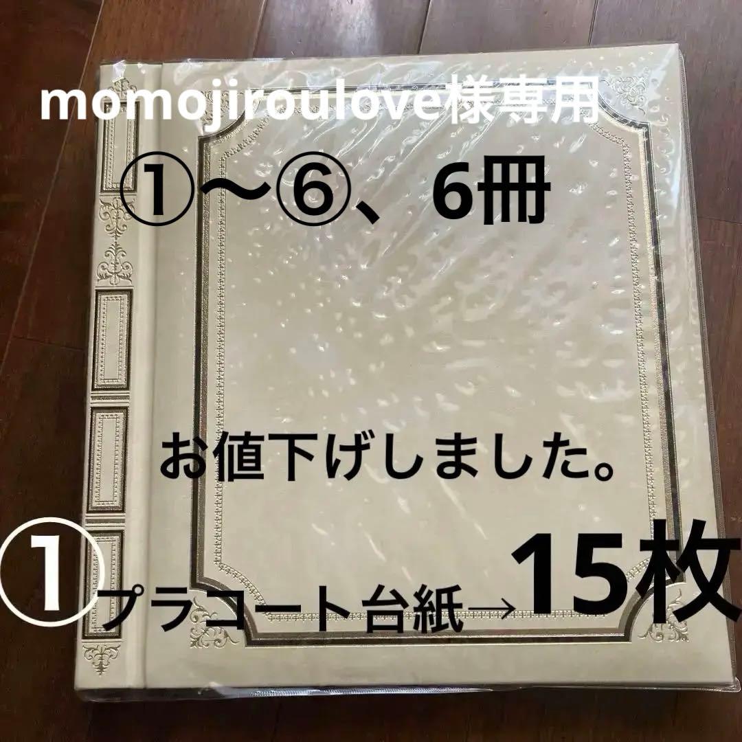 ナカバヤシフェルアルバム　Lサイズ 台紙15枚セット済み(替台紙、5枚プラス)