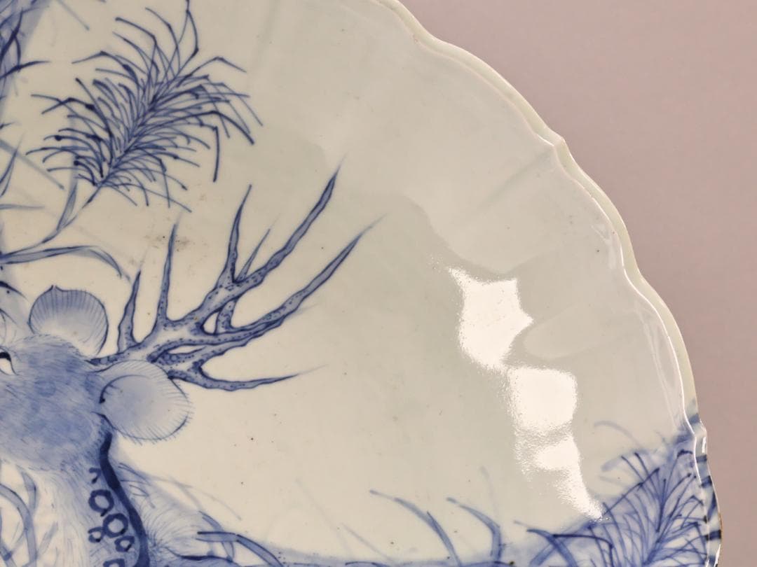 BK265　江戸期　古伊万里　古染付鹿文　大皿　49㎝　二重角福　1尺6寸