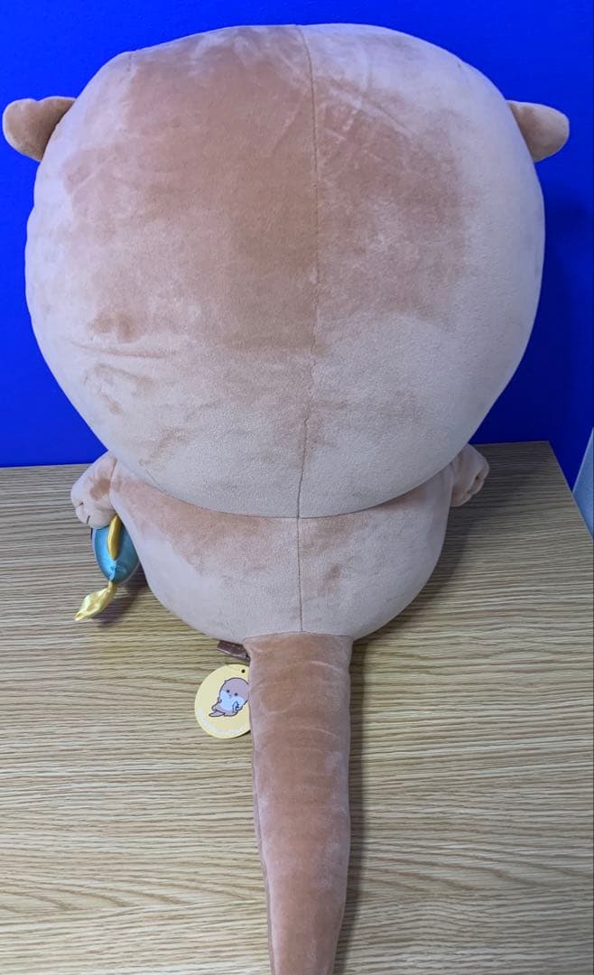 ナガノのカワウソ　家族セット(A賞・B賞・C賞・D賞)