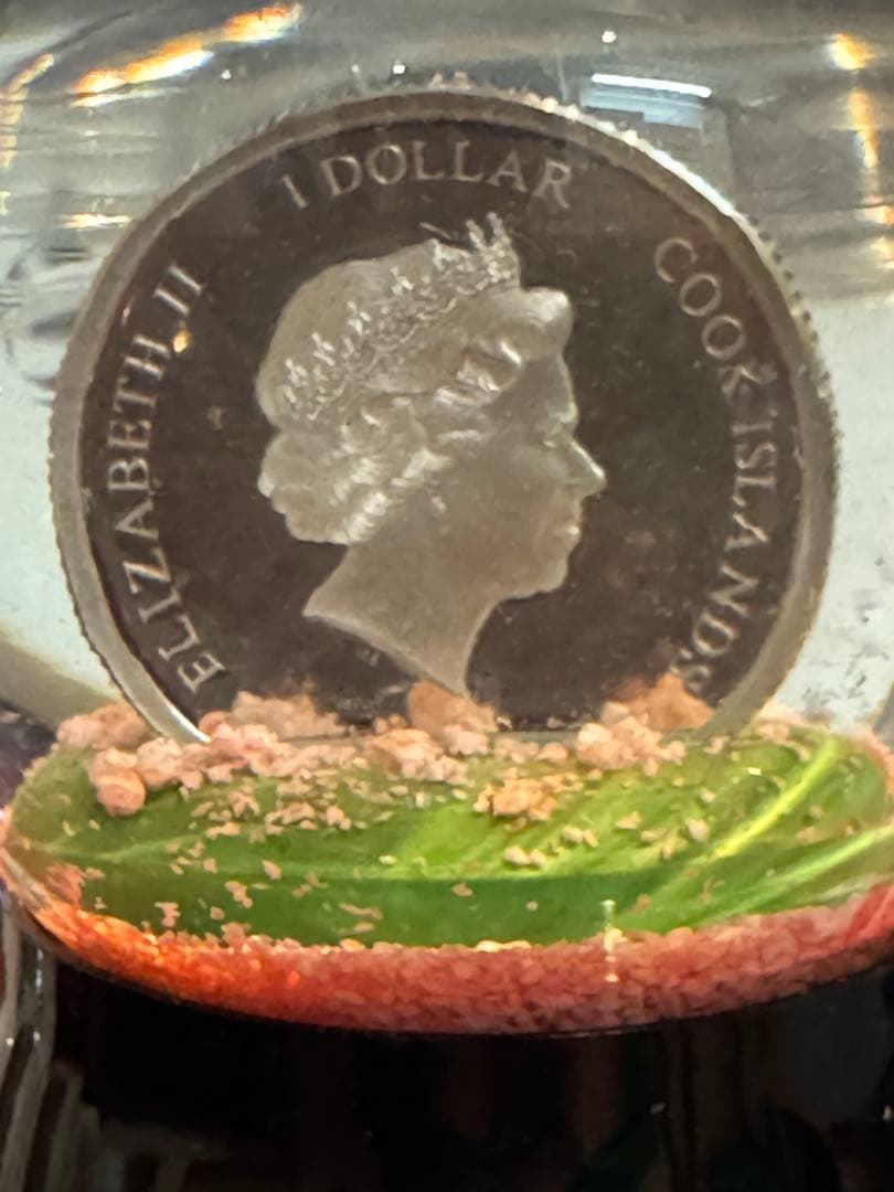 クック諸島 エリザベス2世 1ドル スノードーム
