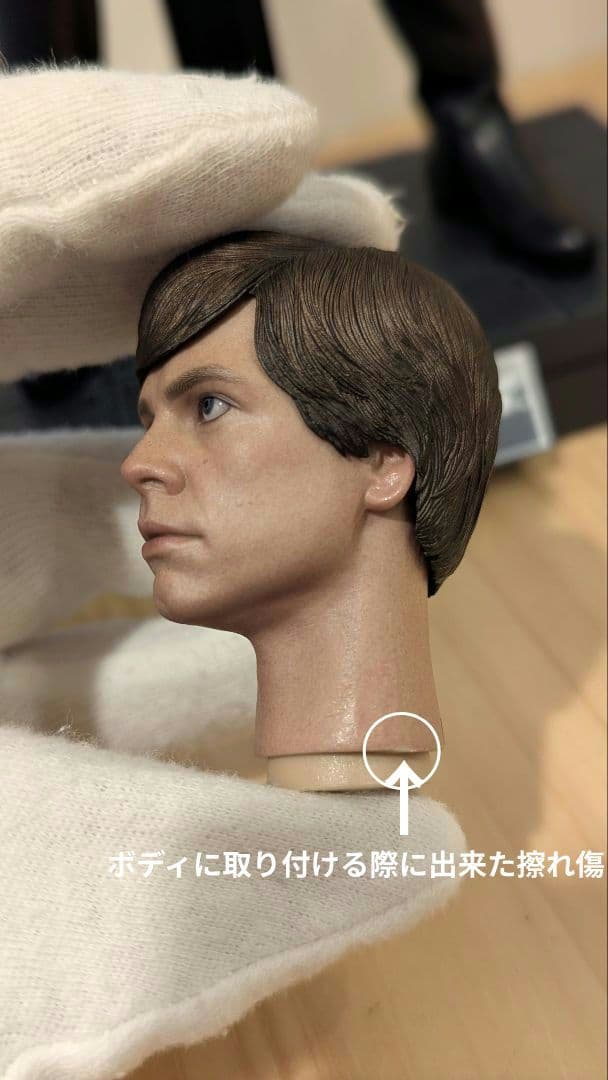 HOTTOYS 【マンダロリアン】 ルーク + ダーク・トルーパー 2点