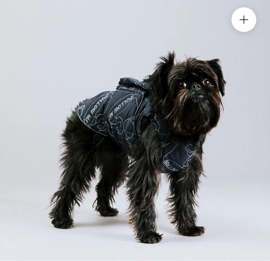 アルファアイコンエアライナー ➕ポケットセット サイズS 新品未使用未開封