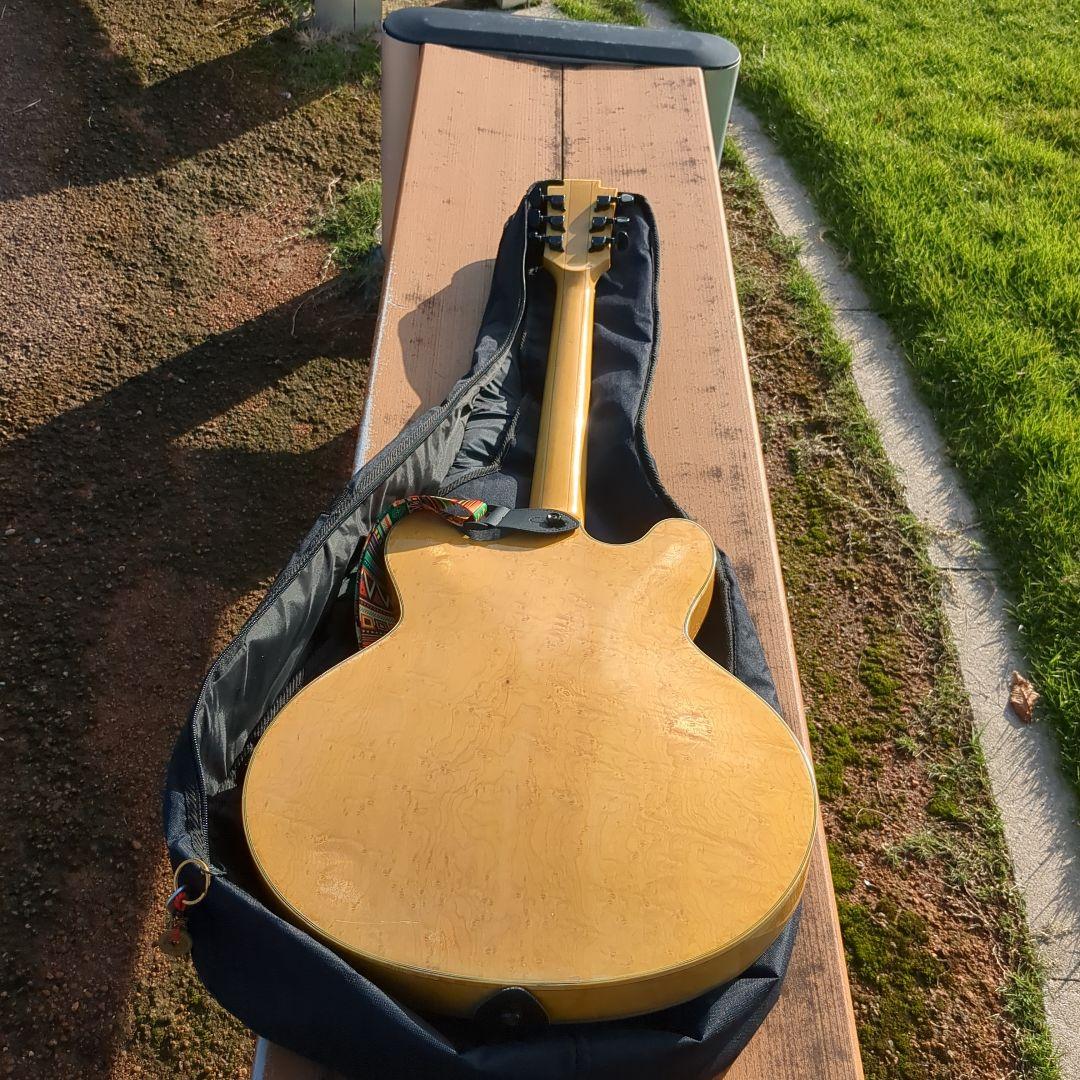 Yamatoセミホロウボディ エレキギター貴重 ケース付