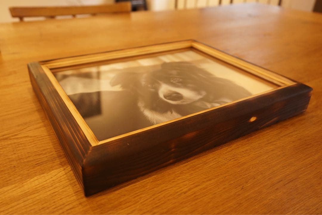 ペットの似顔絵オーダー受付専用