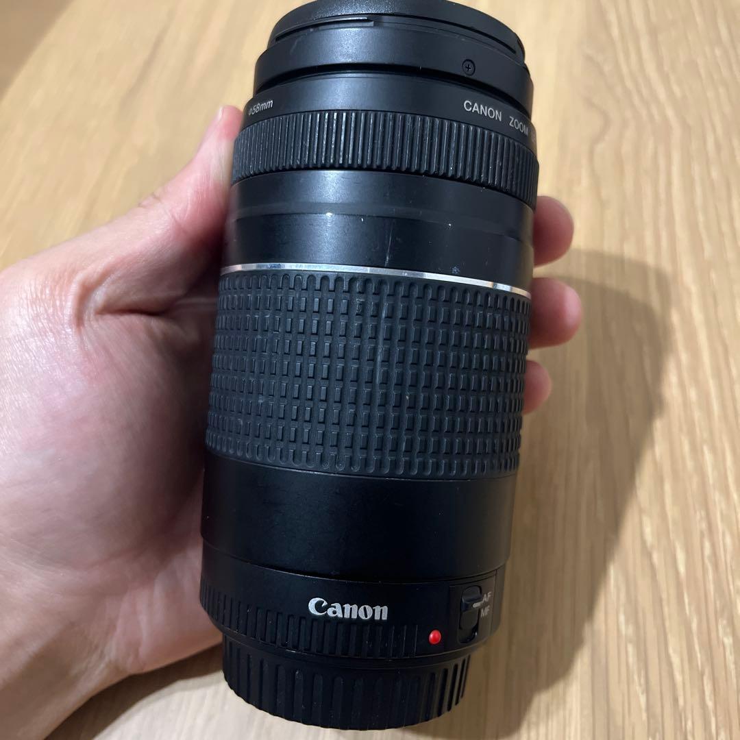 Canon EF 75-300mm ズームレンズ