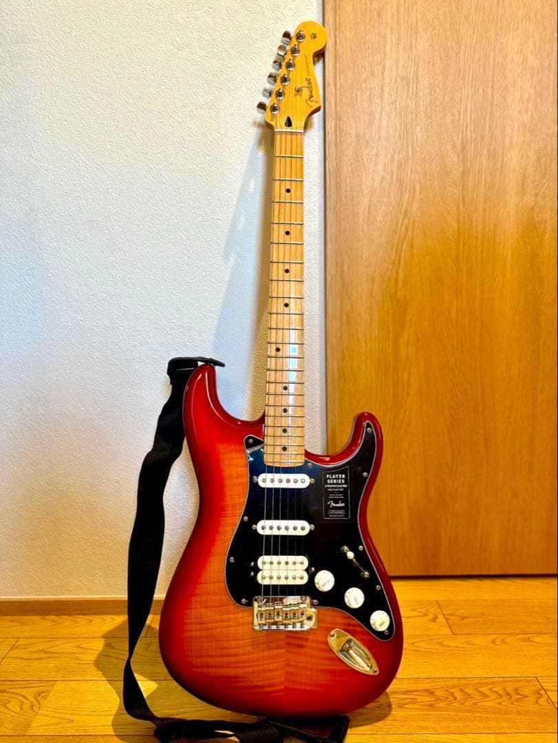 Fender Player Stratocaster HSS PT MN ケース
