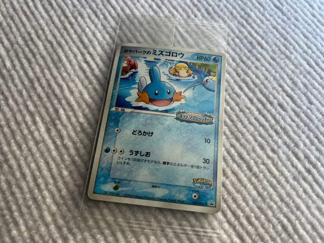 未開封 ポケパークのミズゴロウ 048/PCG-P 長期保管品 ポケモンカード