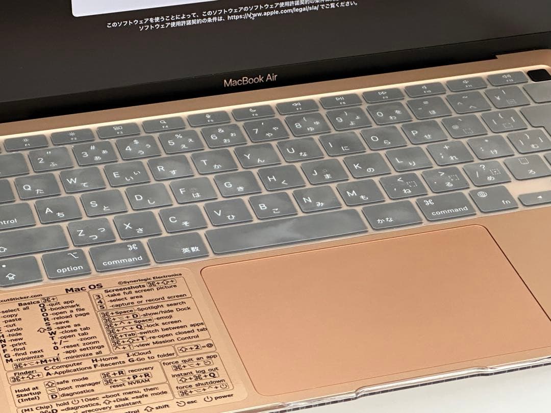 MacBook Air 13インチ 2020 /M1 /16GB /1TB