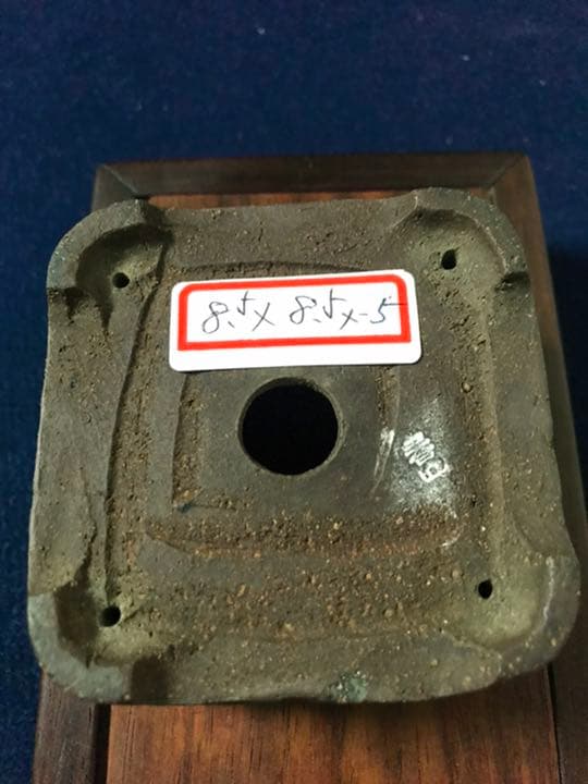 1349 盆栽　盆栽鉢　植木鉢　和鉢　梨皮正方鉢　春山