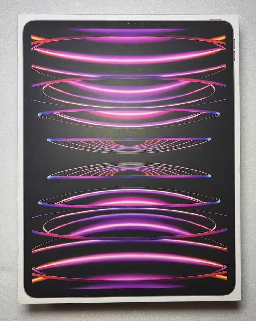 iPad本体 iPadPro 12.9 M2 1TB Cellular