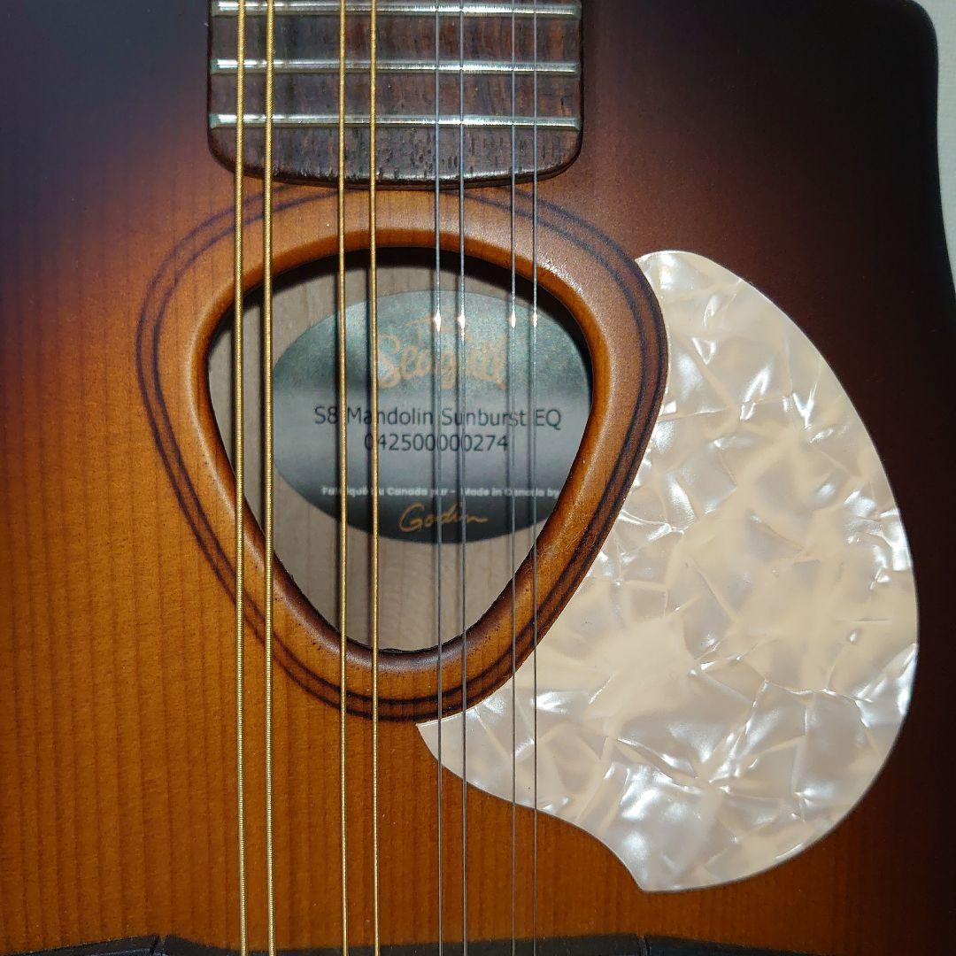 Seagull S8 マンドリン ハードケース付き