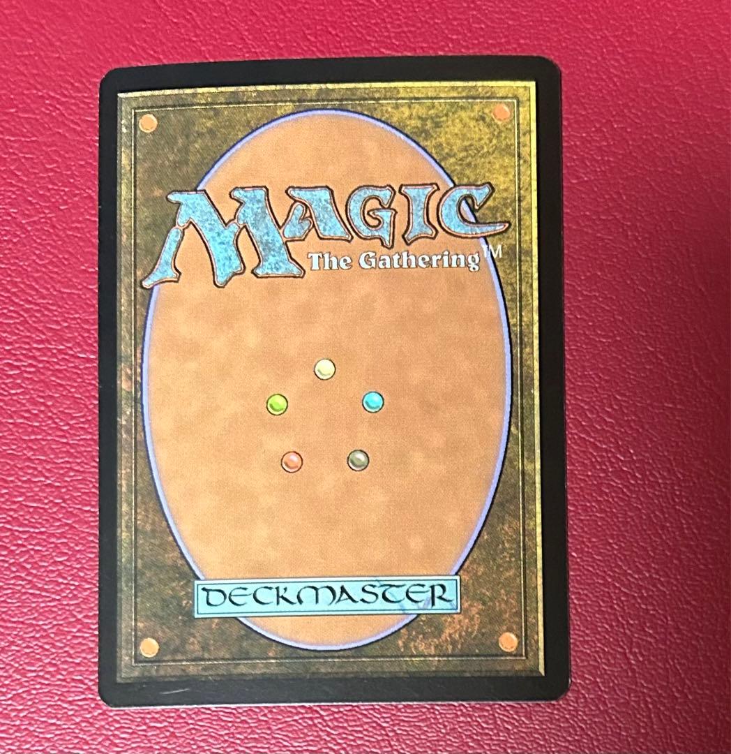 mtg 燃え柳の木立ち　スペイン語 foil1枚