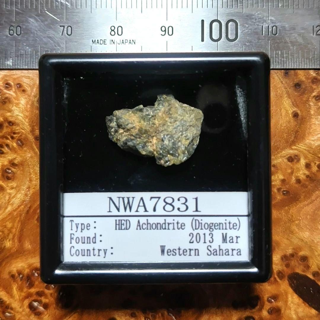 ✨️小惑星ベスタ起源　ＮＷＡ7831隕石標本