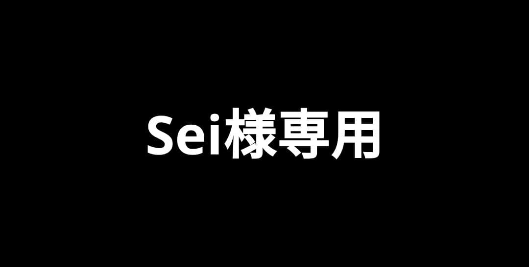 その他 Sei