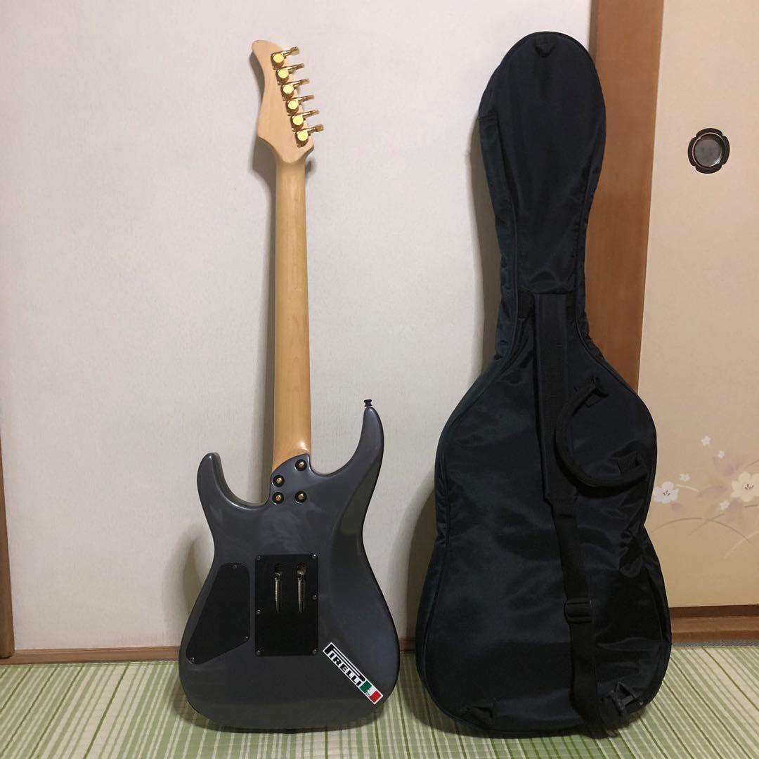 ケン　楽器　ソフトケース付き