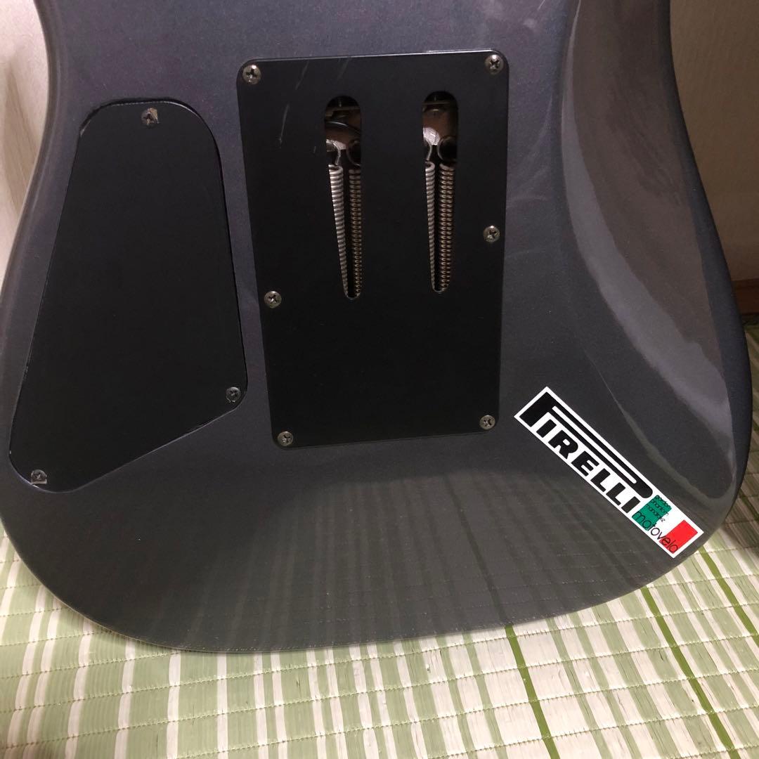 ケン　楽器　ソフトケース付き