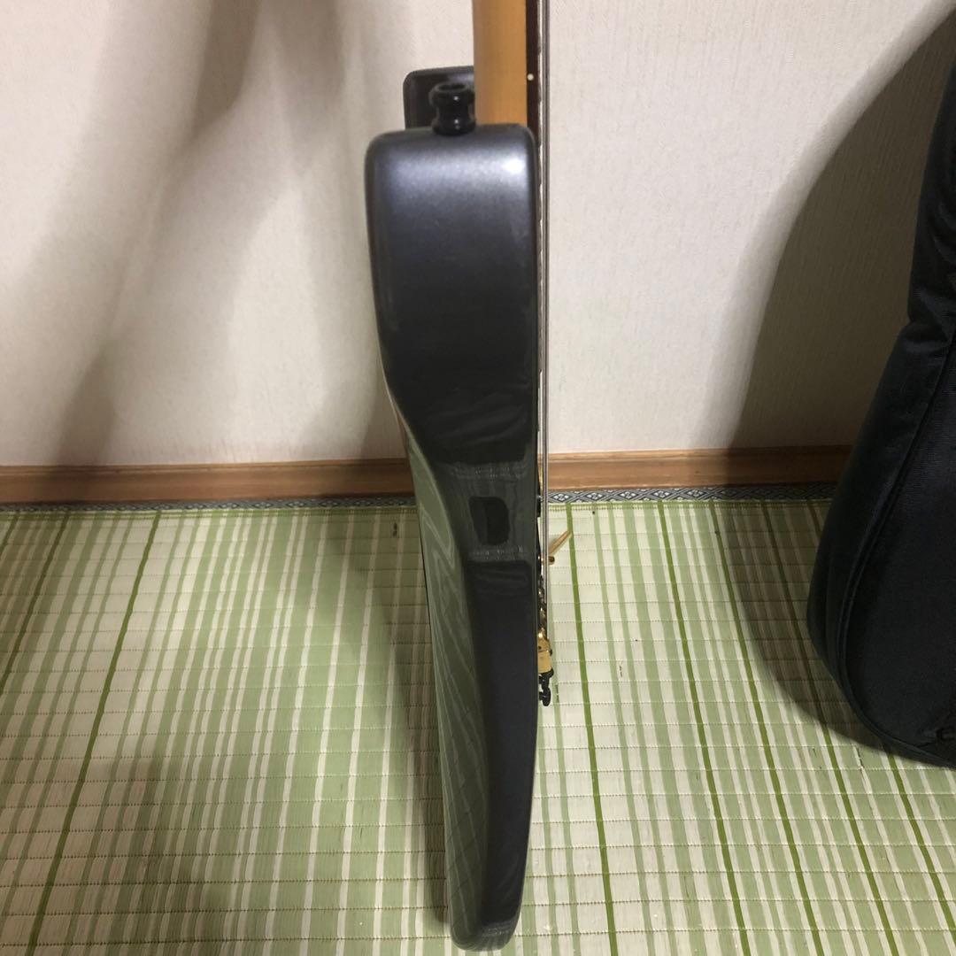 ケン　楽器　ソフトケース付き