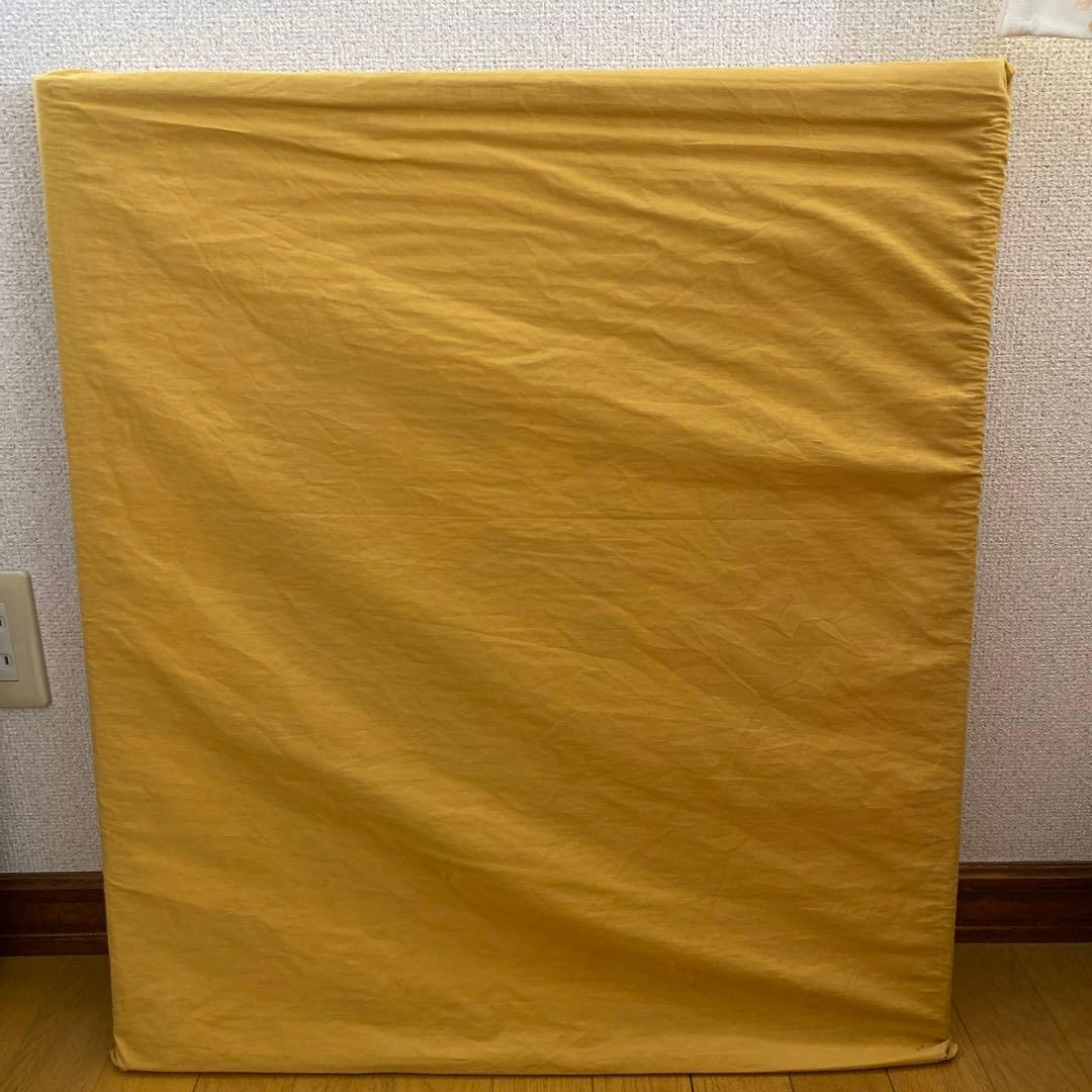 穐月明　籠の牡丹　日本画