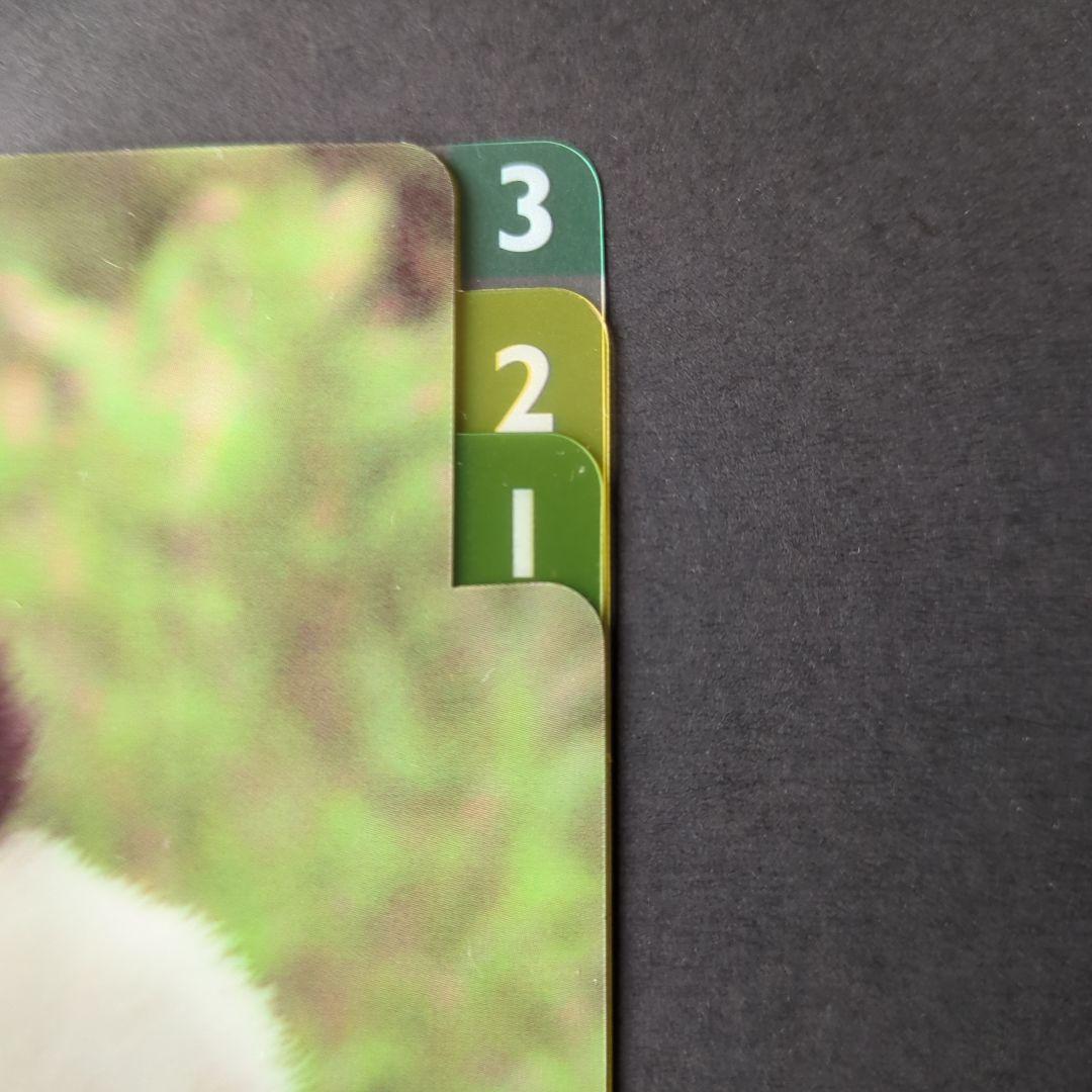 パンダ　ミニクリアファイル　他