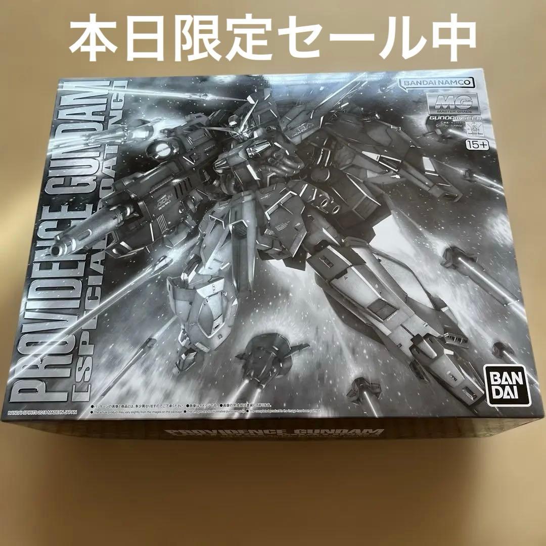 プロヴィデンスガンダム MG 1/100 スペシャルコーティング新品