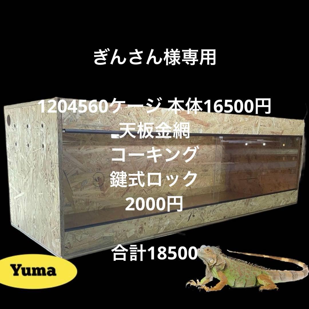 ぎんさん　1204560