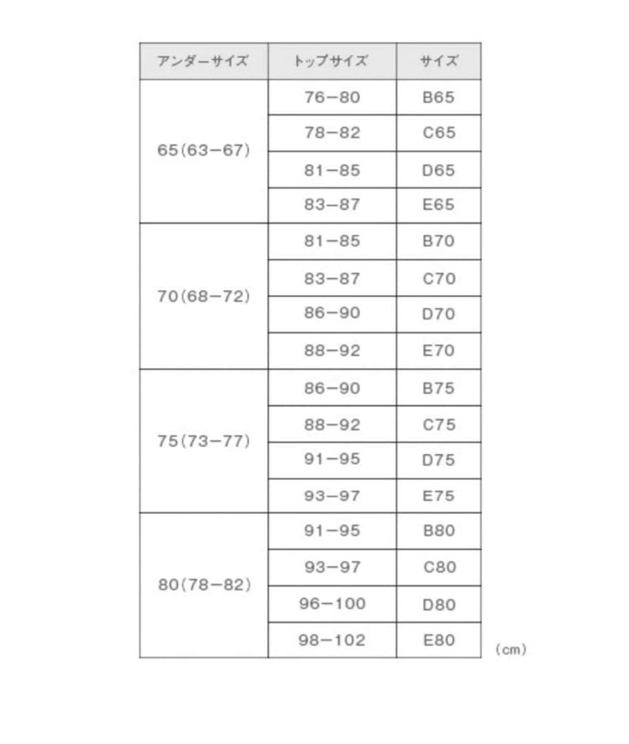 bridal bloom ブライダルブルームD65 インナーセット(美品)