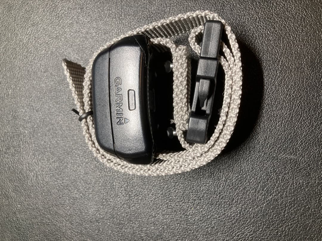 d*1様 Garmin Delta XC Dog Training System