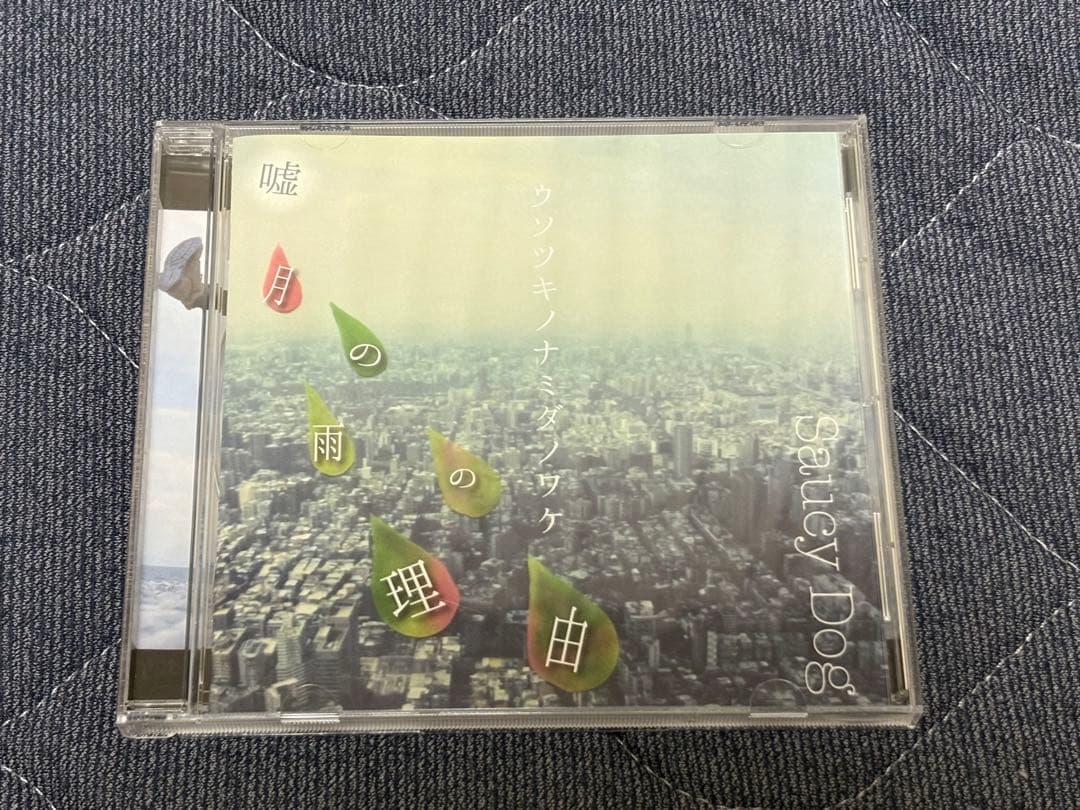 SaucyDog 廃盤 嘘月の雨の理由 ウソツキノナミダノワケ