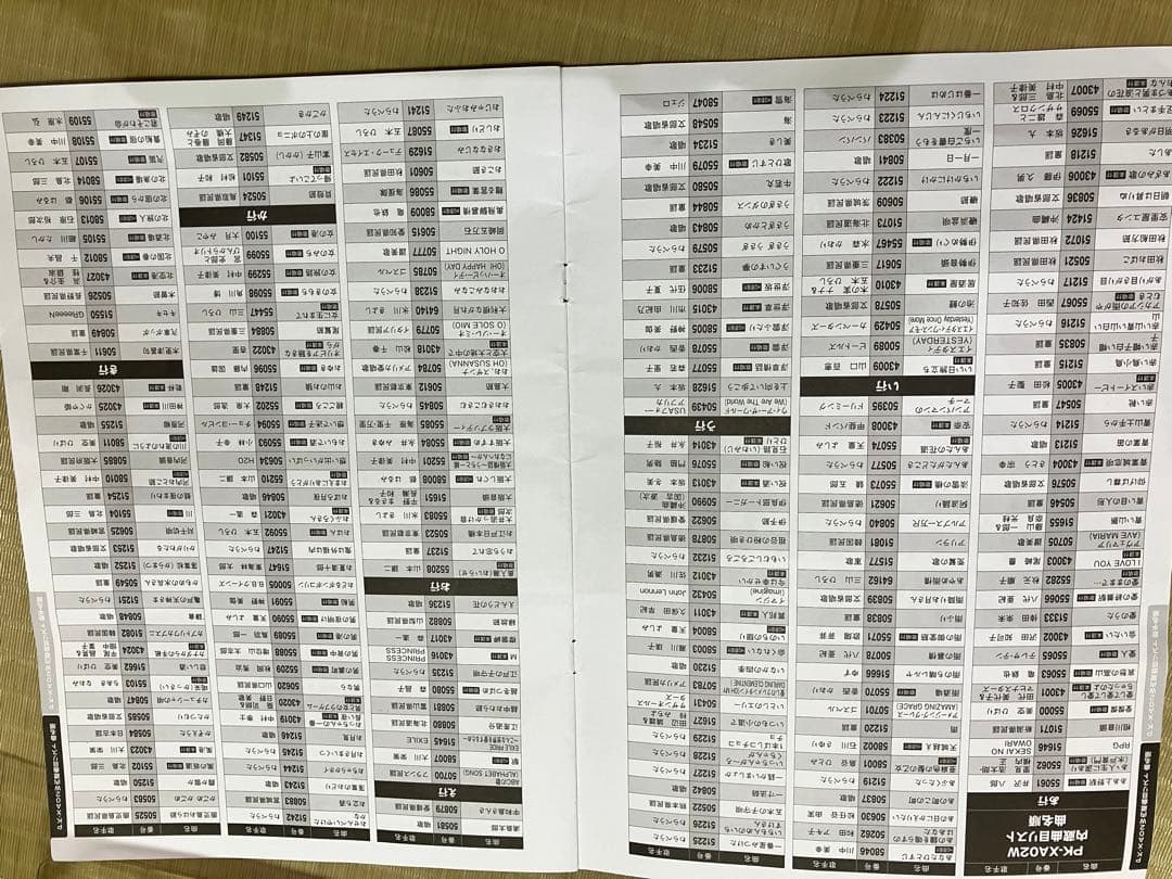 ON STAGE ワイヤレスカラオケ PK-XA02W