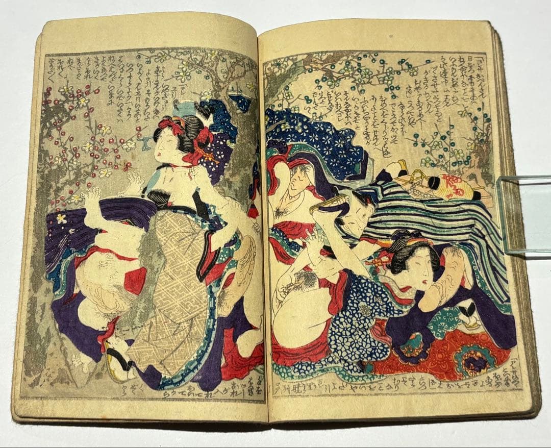 「色競花の雫」恋川笑山 明治期刊 彩色木版画 1冊|艶本 春画 浮世絵 和本