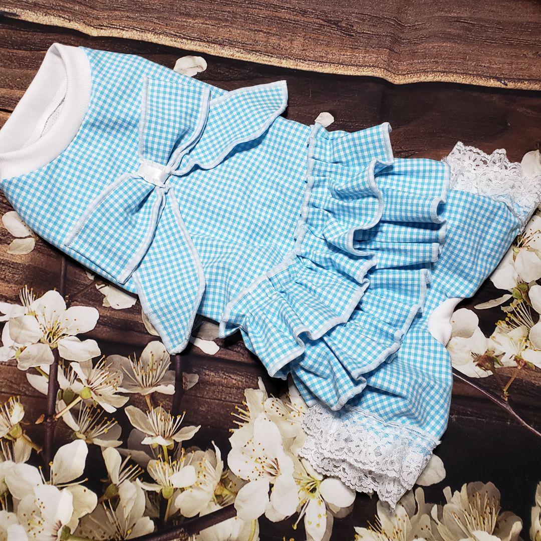 犬服　tomo　ご確認