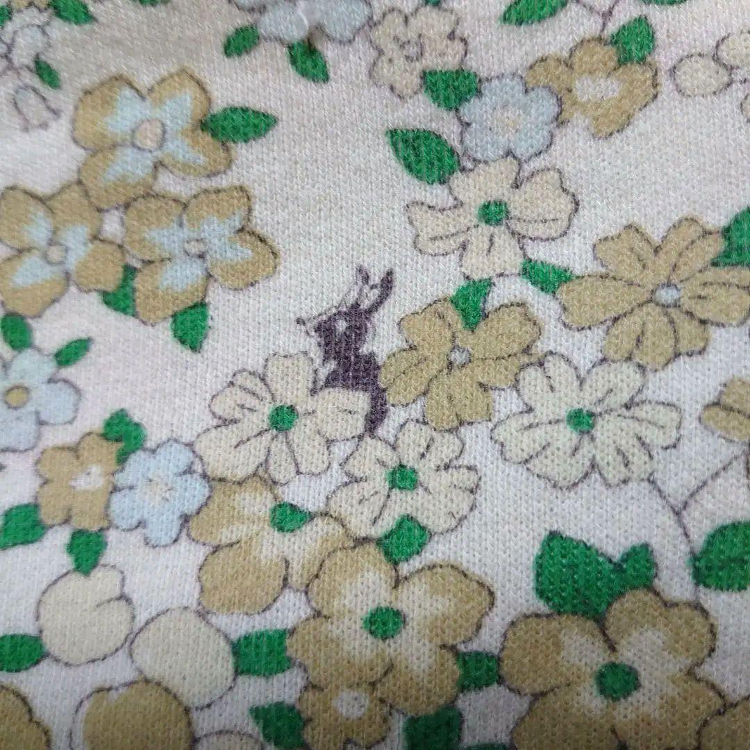 犬服 SS わんこの普段着　フルーツカシェモア　グリーン