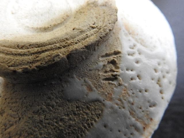 清水公照　志野茶碗　千深箱書　二重箱　MA463