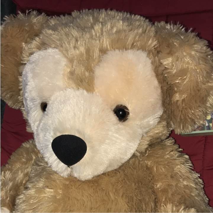 ④ ダッフィー毛長旧M