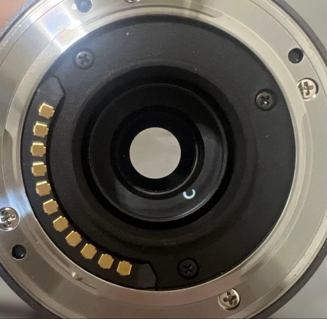 【動作未確認】Panasonic DMC-GF1 14-45mmレンズ付き