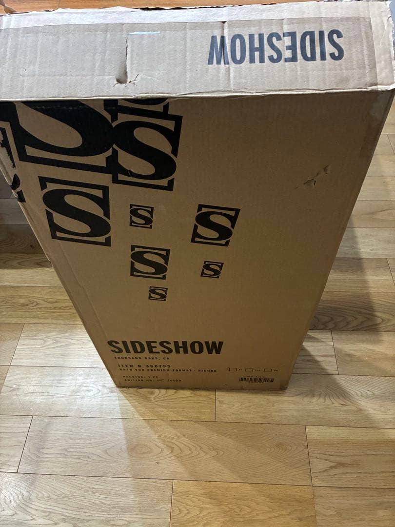 『スター・ウォーズ』 ダース・ベイダー（ムスタファー城）