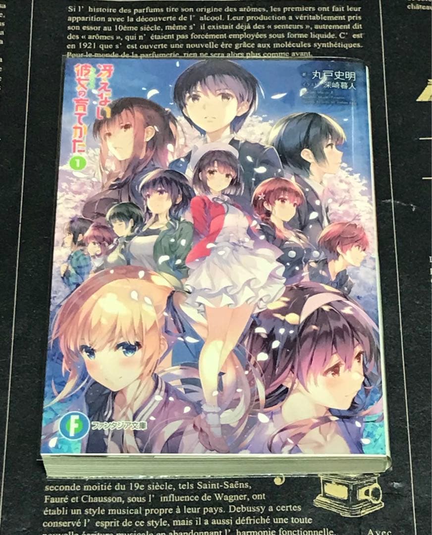 冴えない彼女の育てかた 全巻 セット 全巻 初版 帯付き 20冊 冴えカノ