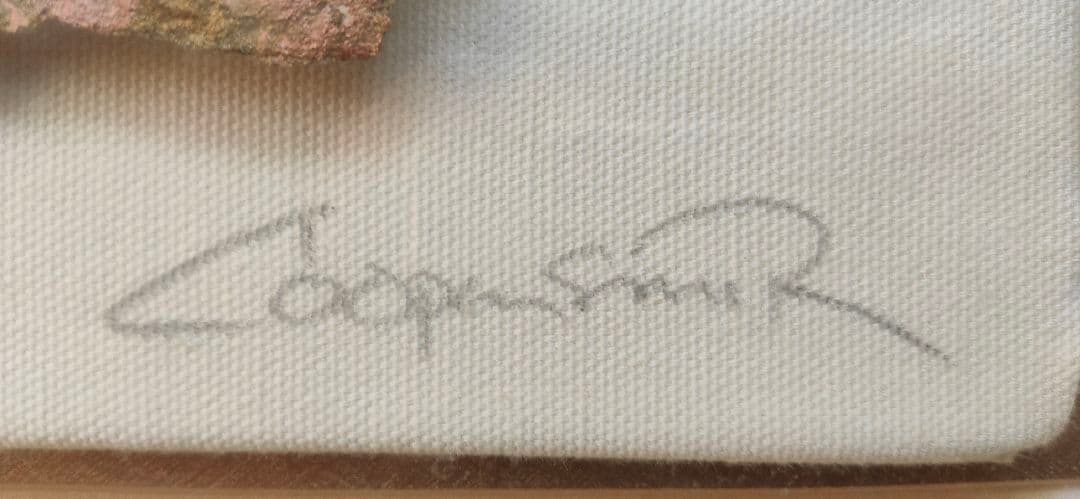 justin coopersmith　アート作品